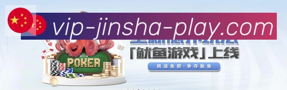 未来规划